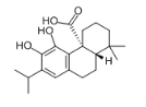 鼠尾草酸  分析标准品,HPLC≥98% 3650-09-7