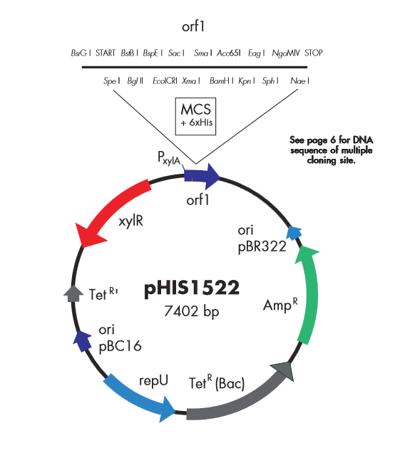 pHIS1525 质粒图谱