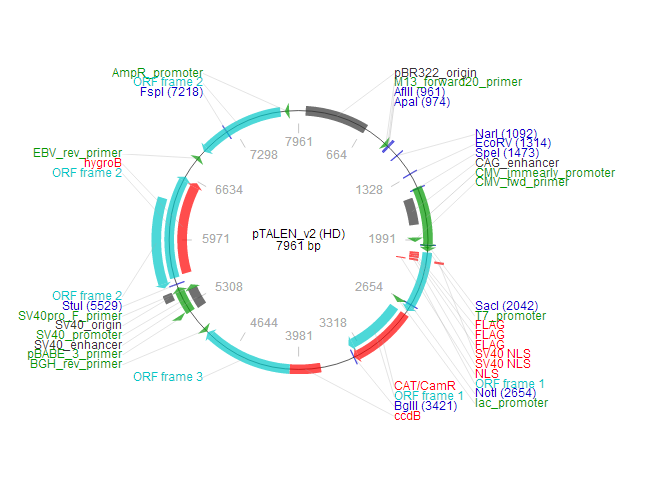 pTALEN_v2 (HD) 质粒图谱