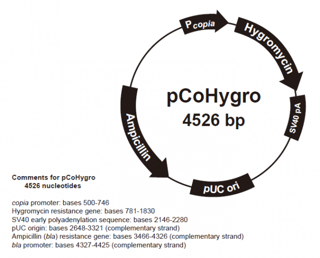 pCoHygro Vector(质粒图谱)