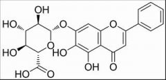 黄芩苷 分析标准品,HPLC≥98% 21967-41-9