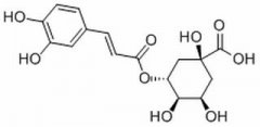 绿原酸 分析标准品,HPLC≥98% 327-97-9