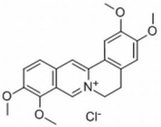 盐酸巴马汀 分析标准品,HPLC≥98% 10605-02-