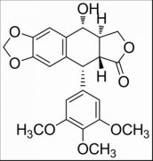 鬼臼毒素 分析标准品,HPLC≥98% 518-28-5