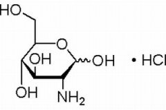 盐酸氨基葡萄糖 分析标准品,HPLC≥98% 66-84-2