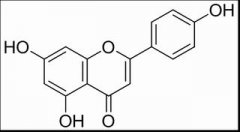 芹菜素 分析标准品,HPLC≥98% 520-36-5