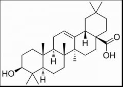 齐墩果酸 分析标准品,HPLC≥98% 508-02-1