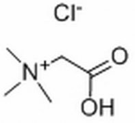 盐酸甜菜碱 分析标准品,HPLC≥98% 590-46-5