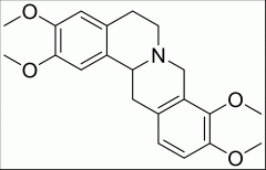 延胡索乙素 分析标准品,HPLC≥98% 2934-97-6