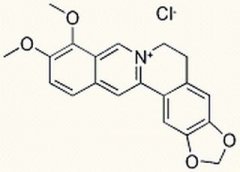 盐酸小檗碱 分析标准品,HPLC≥98% 633-65-8