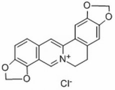 盐酸黄连碱 分析标准品,HPLC≥98% 6020-18-4