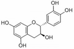 +)-儿茶素  分析标准品,HPLC≥98% 154-23-