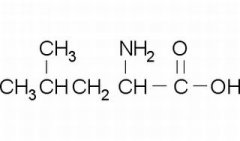 DL-亮氨酸 分析标准品,HPLC≥98% 328-39-2