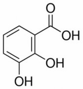 2,3-二羟基苯甲酸 分析标准品,HPLC≥98% 303-