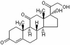 可的松 分析标准品,HPLC≥97% 53-06-5