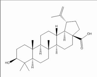 白桦脂酸