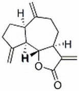 去氢木香内酯 分析标准品,HPLC≥98% 477-43-0
