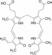 胆红素 分析标准品,HPLC≥98% 635-65-4