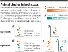 “激素问题”是动物研究中“雌性独有”的问题