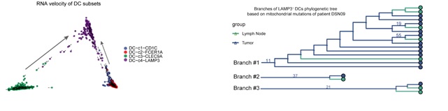 20191101081026_44947.jpg 20191101081026_44947.jpg